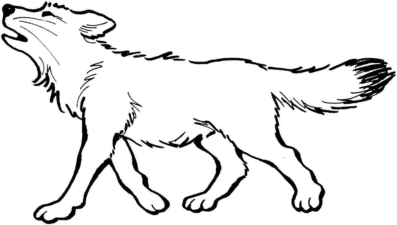 desenho de lobo para desenhar