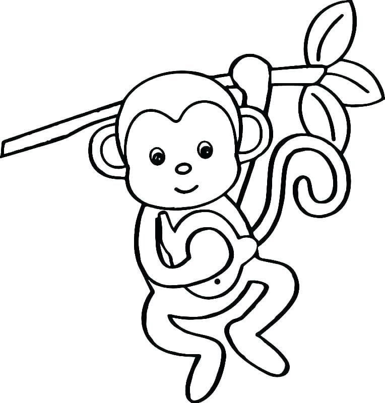 desenho de macaco para colorir