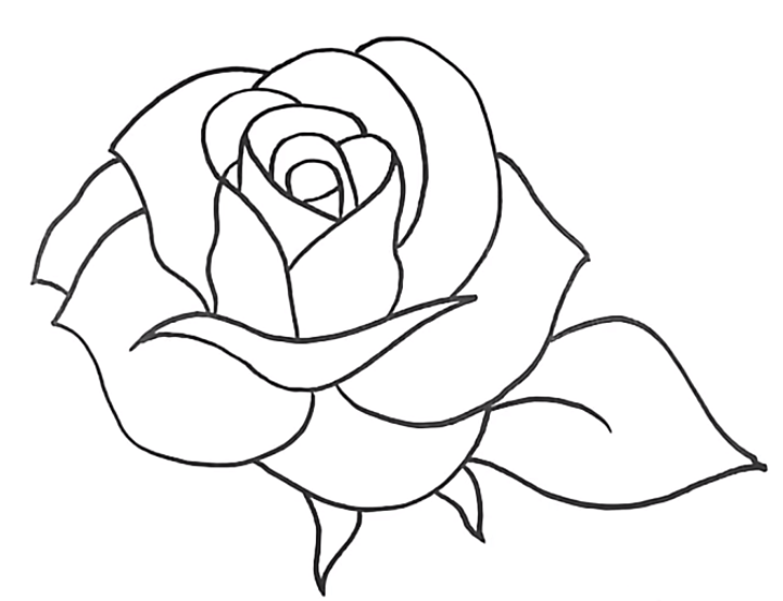 desenho de rosas bonitas para pintar imprimir