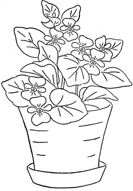 desenho flor de violeta para colorir