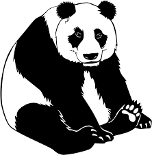 desenho panda para imprimir