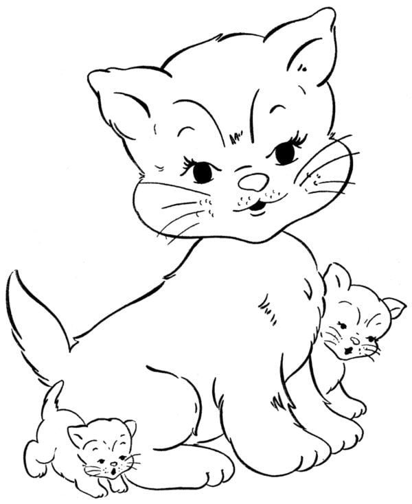 gato com filhotes de gatinhos para colorir