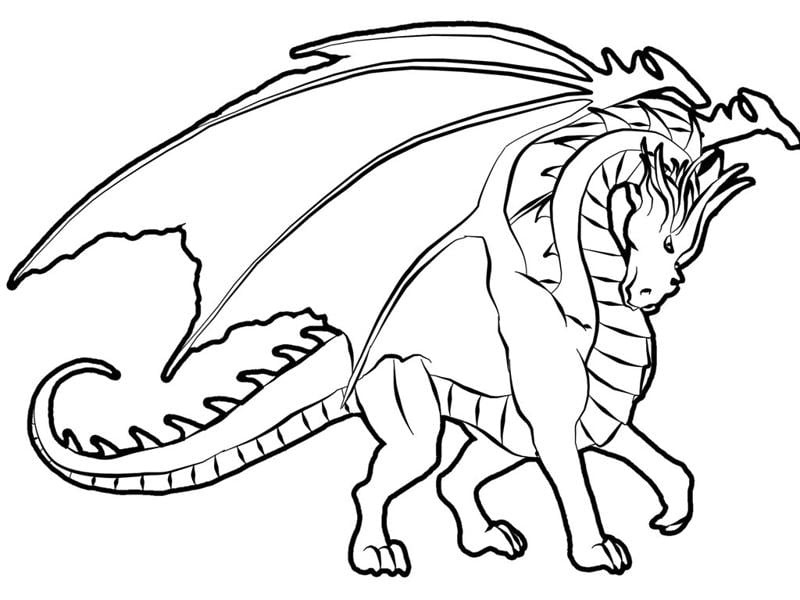 imagem de dragão para desenhar