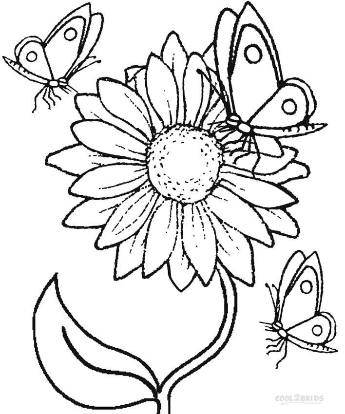 imagem de flor de girassol para imprimir colorir