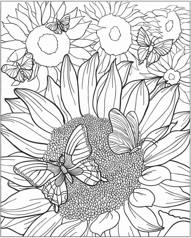 imagem de flor para desenhar tumblr