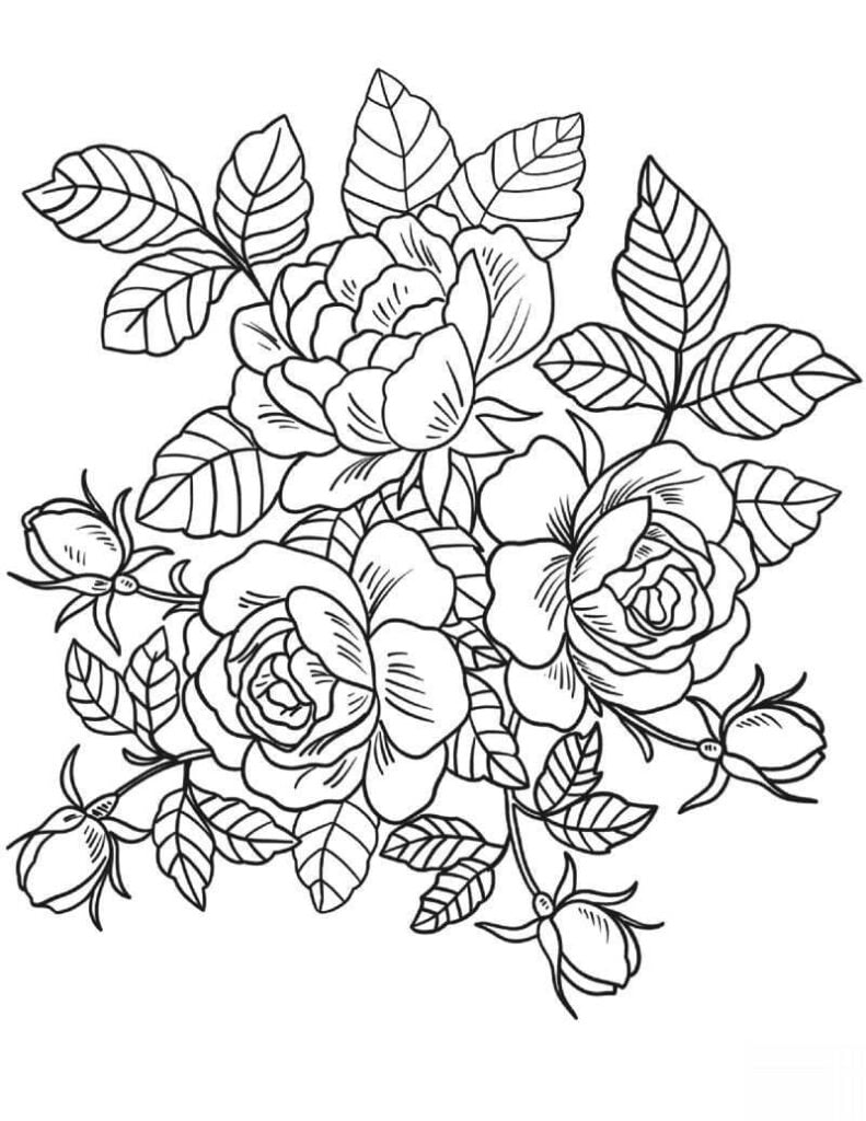 imagem de flor rosas para pintar desenhar