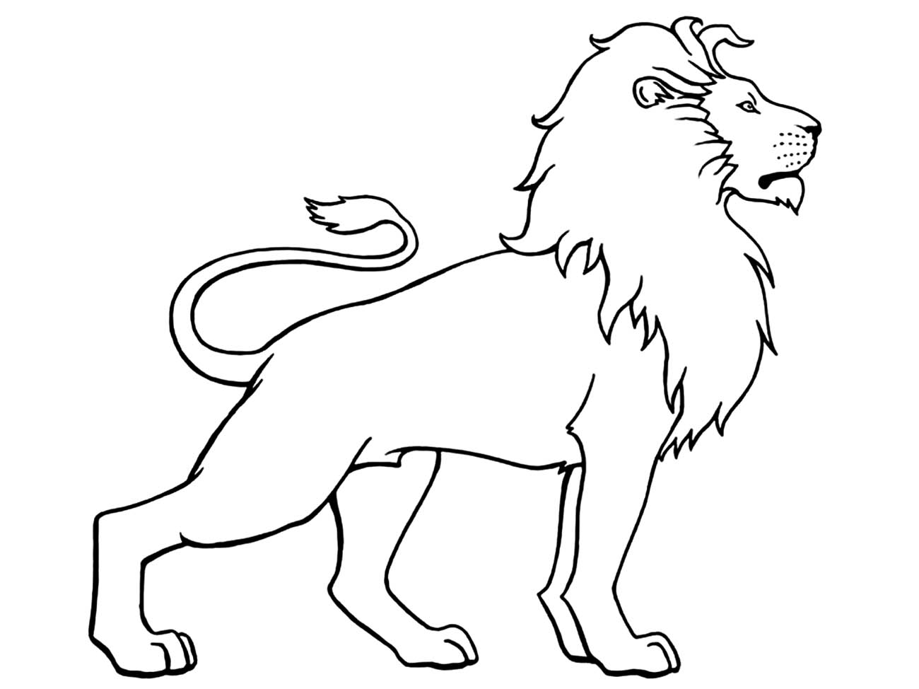imagem de leão de perfil para desenhar