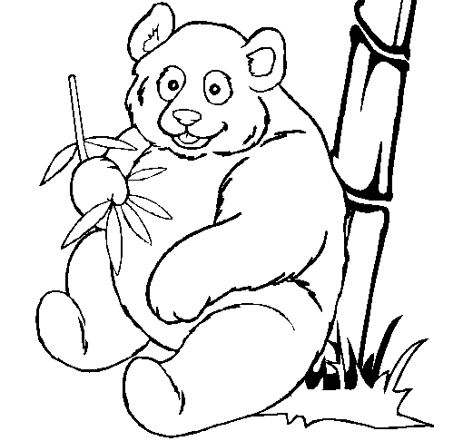 imagem de panda para desenhar