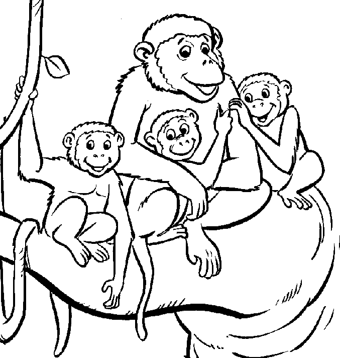 macaco para colorir imprimir