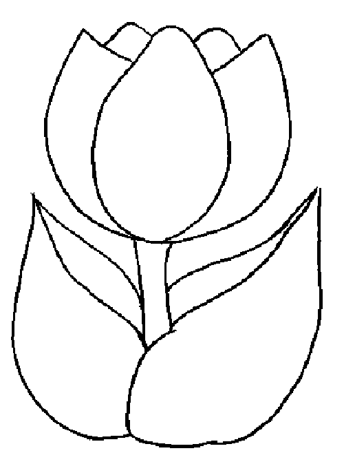 molde de flor tulipa para imprimir