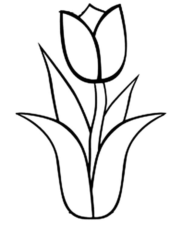 molde de tulipa para imprimir e recortar