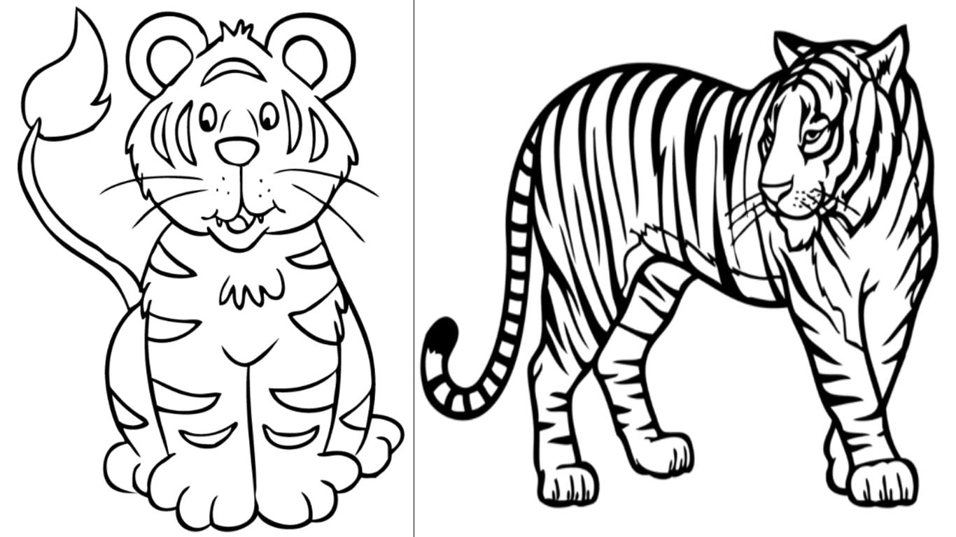 Tigre Desenhos Para Colorir Vrogue Co