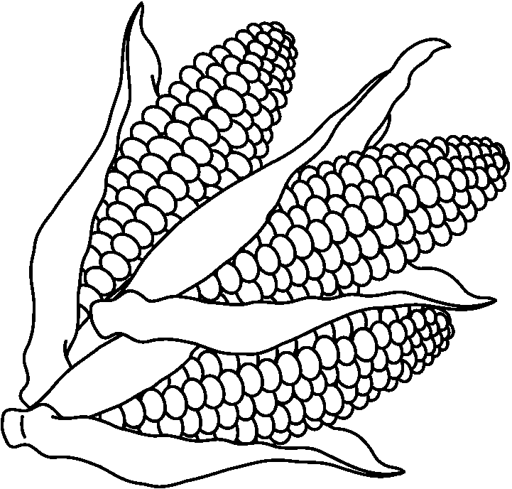 imagem de milho para colorir