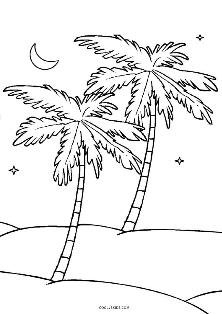 imagem de coqueiro para pintar