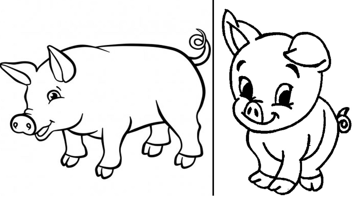 Desenho de porquinho para imprimir, colorir e desenhar