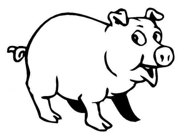 desenho de porquinho para colorir
