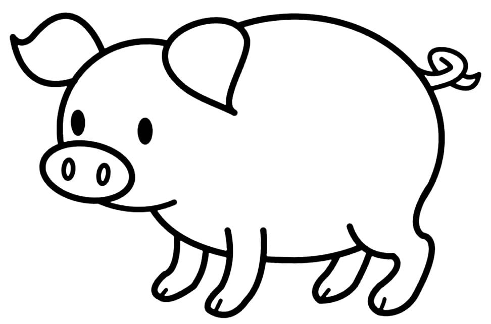 desenho de porquinho