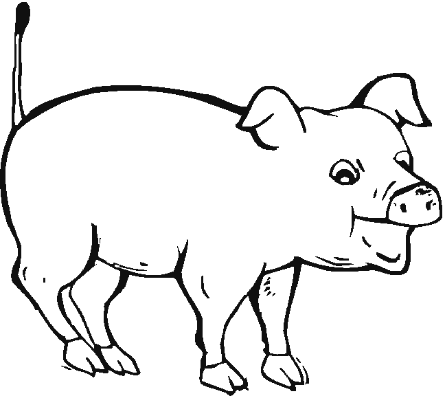 imagem de porquinho para desenhar