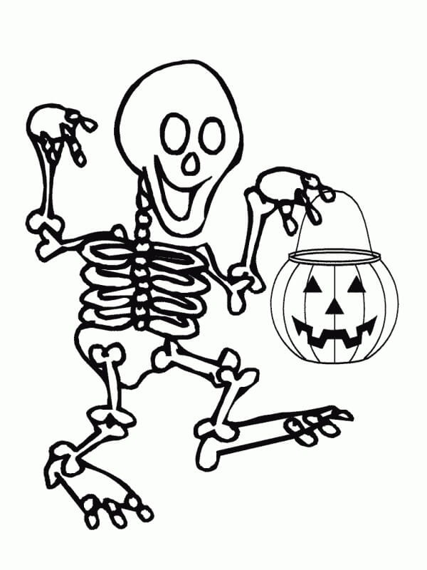 imagem de esqueleto para desenhar