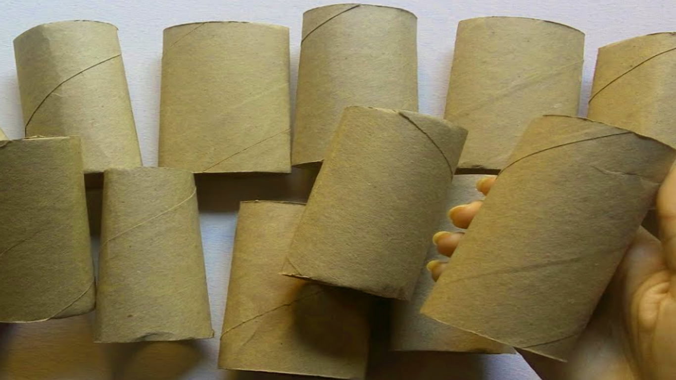 Fazer artesanato com rolos de papel pode ser estranho, mas você vai querer ver