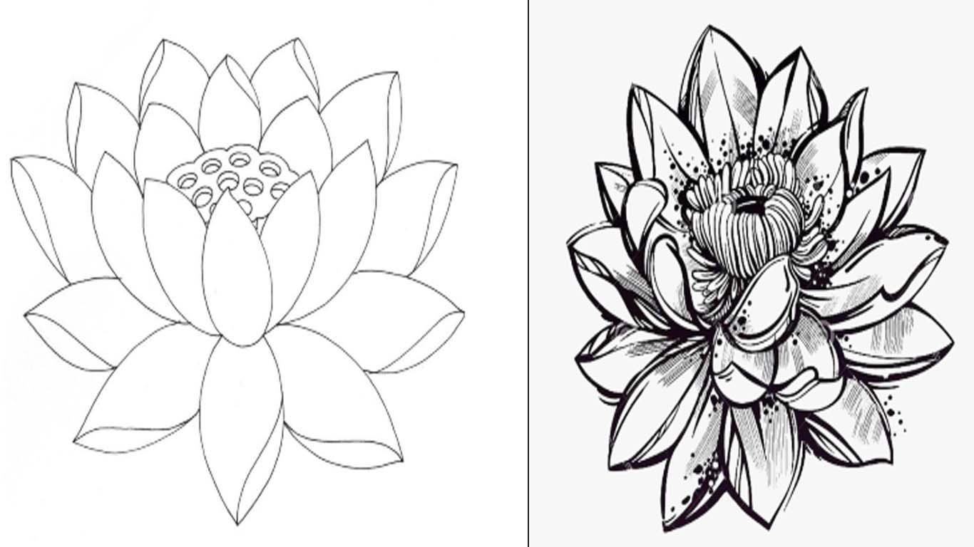 Flor de Lotus para colorir para colorir e imprimir